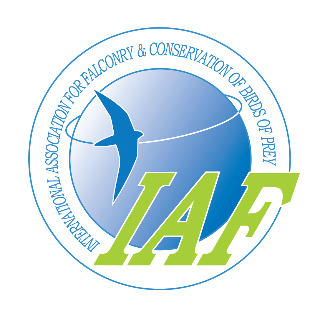 IAF logo no white around circle 1.fw 