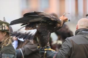 IMG_5738.jpg