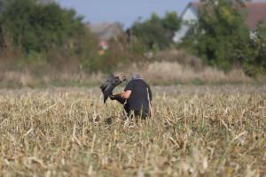 IMG_5832.jpg