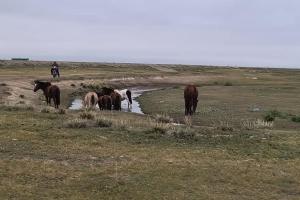 mongolsko_2024_25.jpg