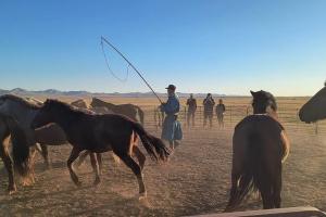 mongolsko_2024_29.jpg